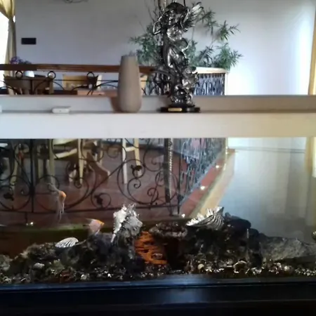 Saint George Holiday *